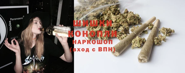 каннабис Богданович