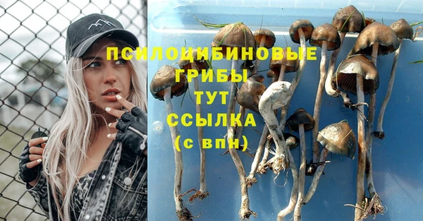 2c-b Богородск