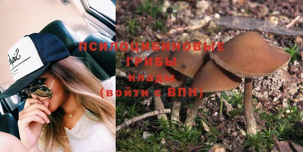 амф Бронницы