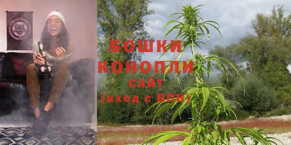 амф Бронницы