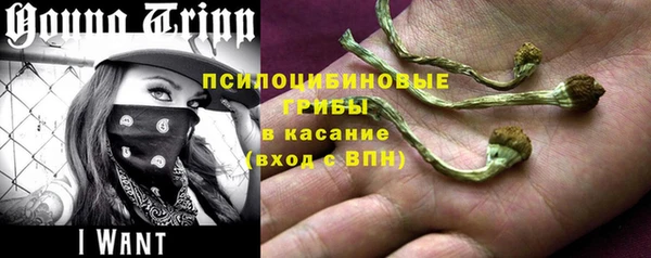 каннабис Богданович