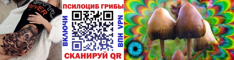 Псилоцибиновые грибы мицелий  даркнет сайт  Горно-Алтайск 